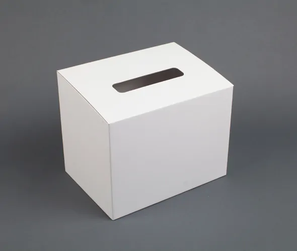 Suggestion Box Cardboard